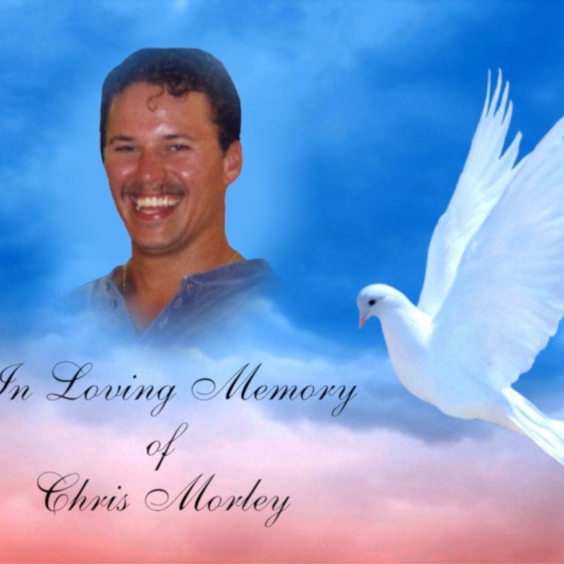 10 New In Loving Memory Backgrounds FULL HD 1920×1080 For PC Desktop 2024 free download 28 images of in loving memory backgrounds with a dove template 800x800