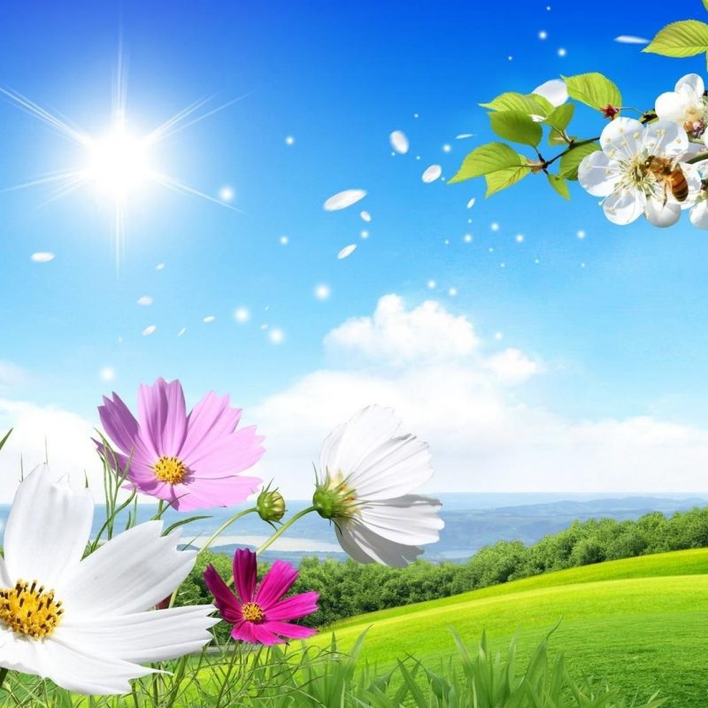 10 Best Spring Background Images Free FULL HD 1920×1080 For PC Desktop 2024 free download beautiful backgrounds wallpaper hd free download hd free 800x800