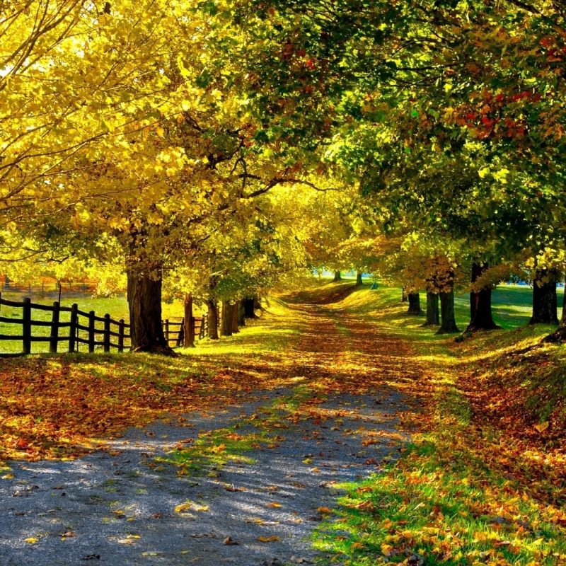 10 Latest Fall Country Backgrounds For Computer FULL HD 1920×1080 For ...