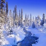 beautiful winter wonderland nature wallpapers pictures | just things