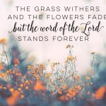 bible verse desktop wallpaper | desktop wallpapers | pinterest