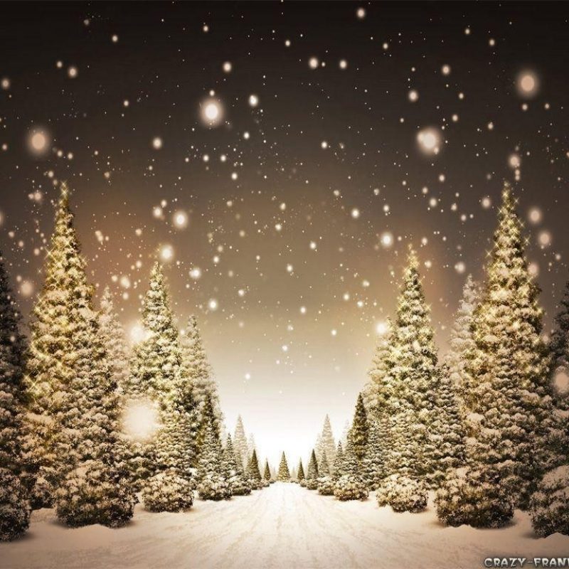 10 New Snowy Christmas Scenes Photos FULL HD 1080p For PC Background 2023