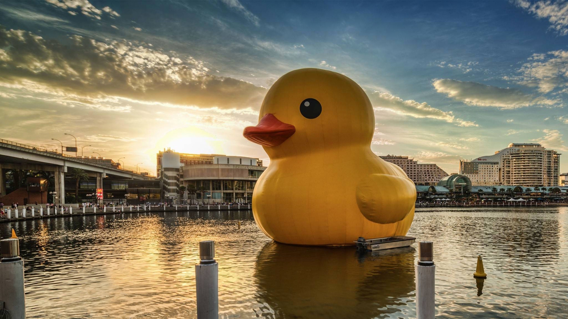 10 Top Rubber Duck Wall Paper FULL HD 1080p For PC Background 2020