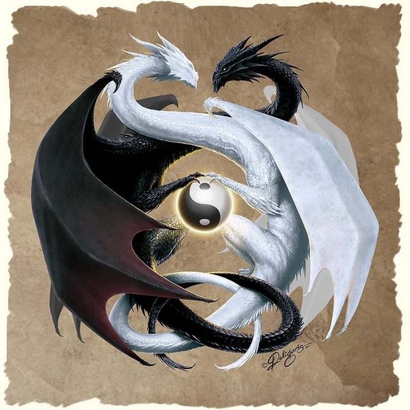 10 Top Yin And Yang Dragons FULL HD 1920×1080 For PC Background 2024 free download epingle par none of your business 3 sur dragons pinterest 800x800