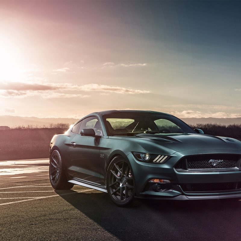 10 Best Ford Mustang Gt Wallpaper FULL HD 1920×1080 For PC Background 2023