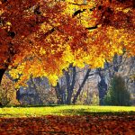 free autumn desktop wallpaper backgrounds - wallpaper cave