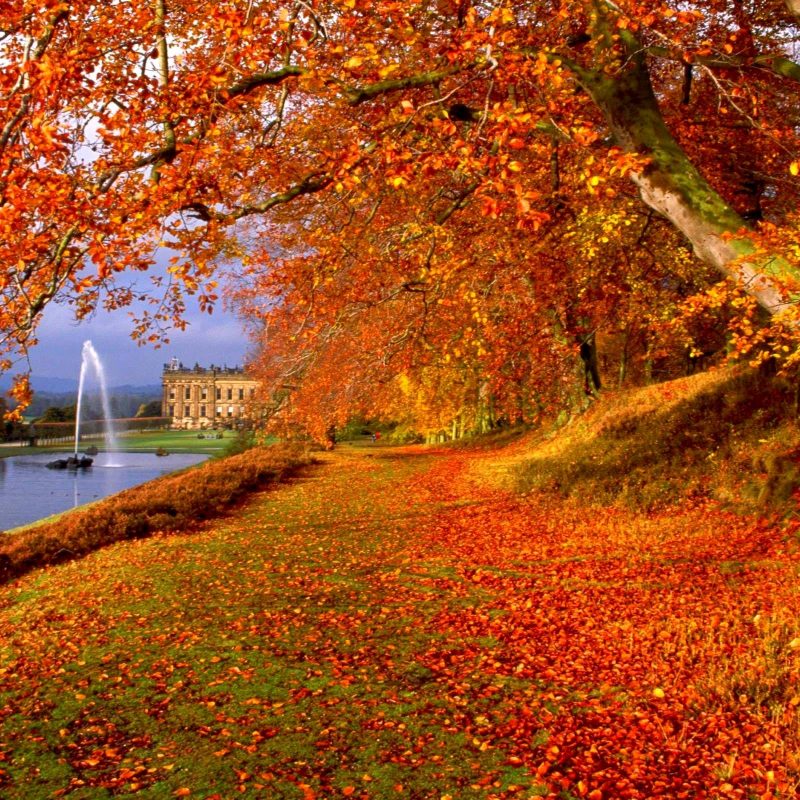 10 Most Popular Free Autumn Wallpaper For Computer FULL HD 1920×1080 For PC Background 2024 free download free fall backgrounds desktop wallpaper cave 17 800x800