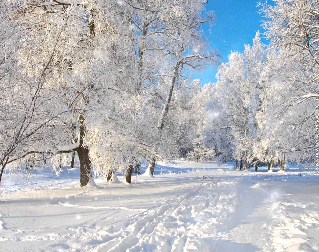 10 Latest Free Winter Scene Screensavers FULL HD 1920×1080 For PC ...
