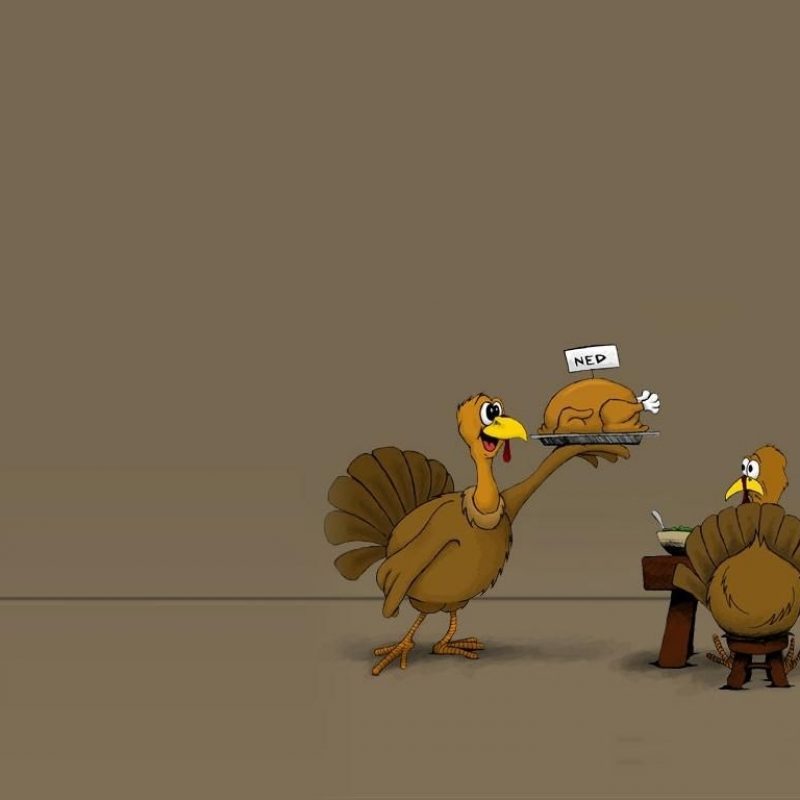 10 Latest Thanksgiving Turkey Wallpaper Hd FULL HD 1920×1080 For PC Desktop 2024 free download funny quotes free hd wallpapers for desktop thanksgiving hd 800x800