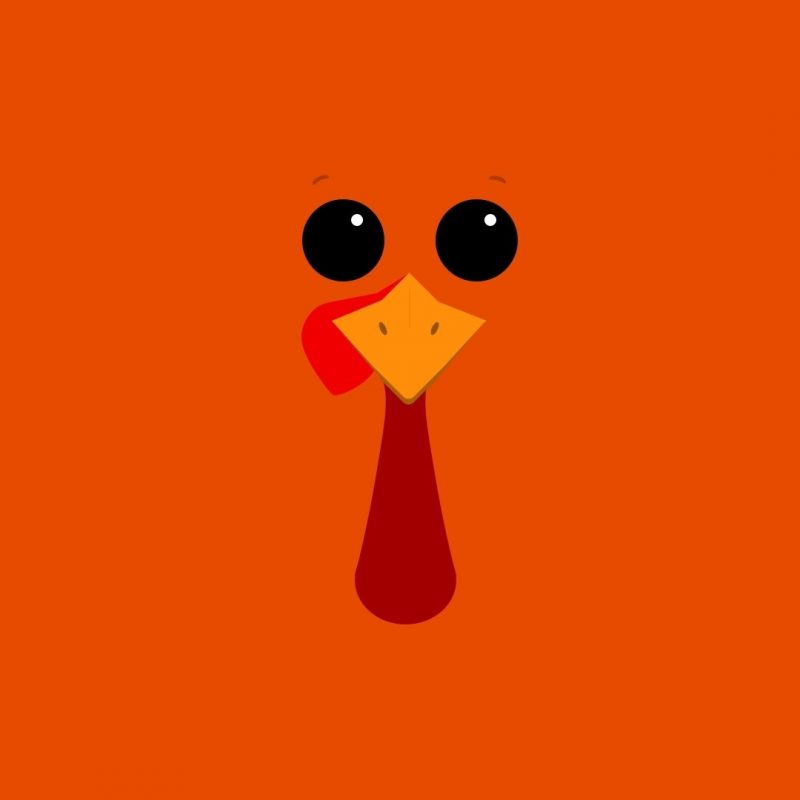 10 Latest Thanksgiving Turkey Wallpaper Hd FULL HD 1920×1080 For PC Desktop 2024 free download funny thanksgiving themes events pinterest thanksgiving 1 800x800