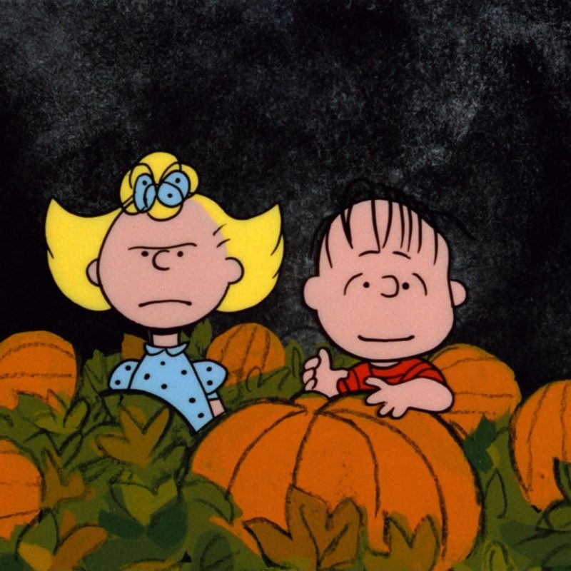10 Latest The Great Pumpkin Wallpaper FULL HD 1920×1080 For PC Background 2024 free download great pumpkin charlie brown hd backgrounds pixelstalk 1 800x800