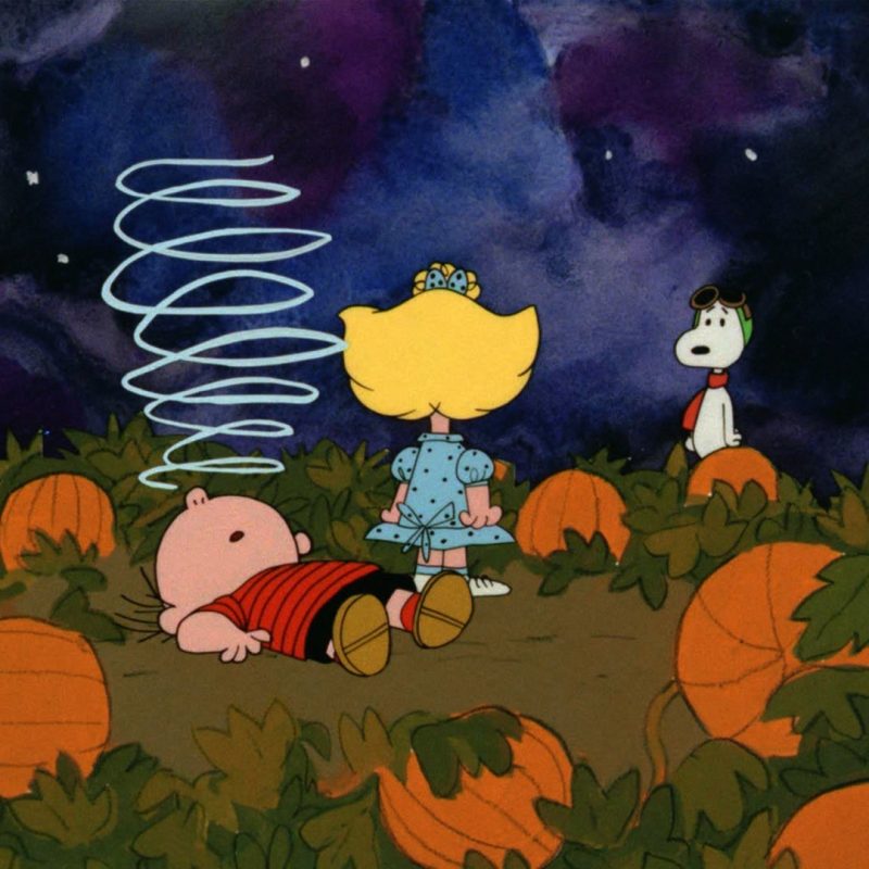 10 Latest The Great Pumpkin Wallpaper FULL HD 1920×1080 For PC Background 2024 free download great pumpkin charlie brown hd backgrounds pixelstalk 800x800