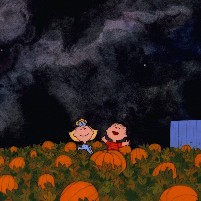 10 Latest The Great Pumpkin Wallpaper FULL HD 1920×1080 For PC Background 2024 free download great pumpkin charlie brown wallpapers wallpaper cave 800x800