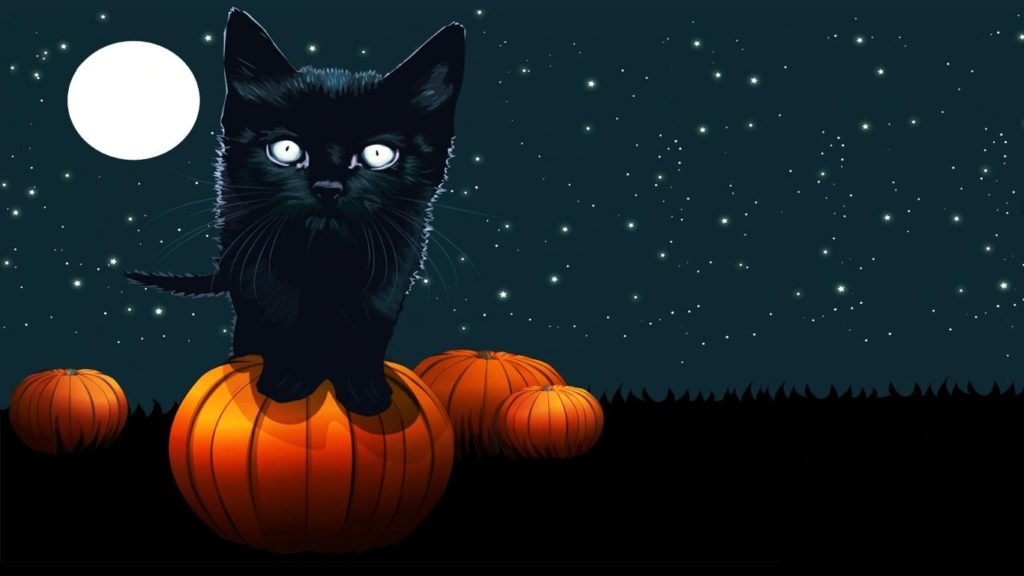 10 New Cute Cat Halloween Backgrounds FULL HD 1920×1080 For PC Desktop 2024 free download halloween cat pics free download hd halloween black cat 1024x576