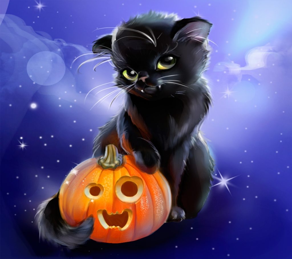 10 New Cute Cat Halloween Backgrounds FULL HD 1920×1080 For PC Desktop 2024 free download halloween cats for all album on imgur 1024x910