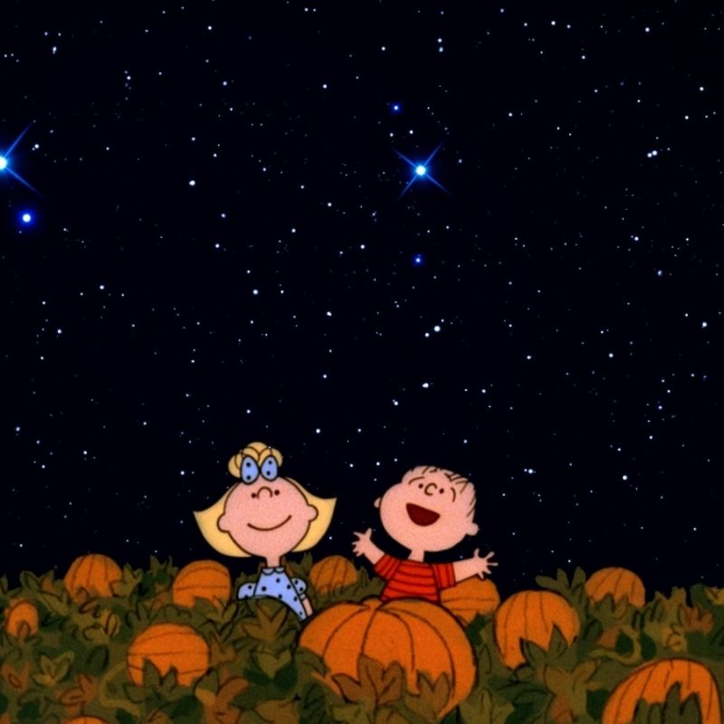10 Latest The Great Pumpkin Wallpaper FULL HD 1920×1080 For PC Background 2024 free download halloween its the great pumpkin charlie brown wallpapers 800x800