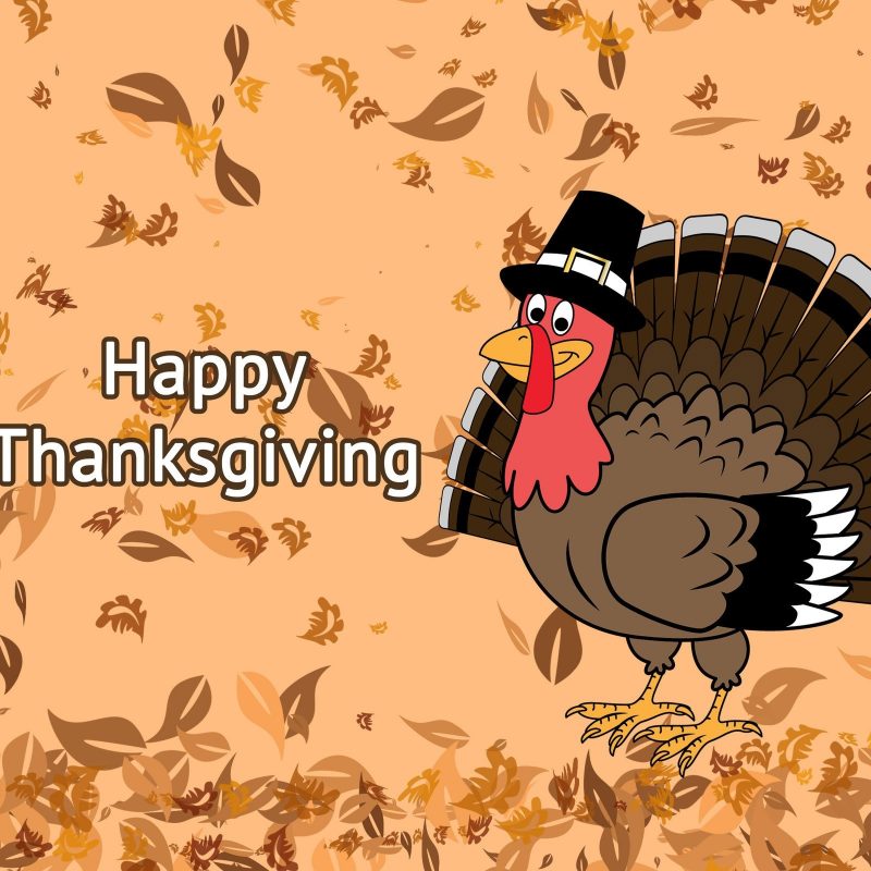 10 Latest Thanksgiving Turkey Wallpaper Hd FULL HD 1920×1080 For PC Desktop 2024 free download happy thanksgiving 2017 images pixelstalk 800x800