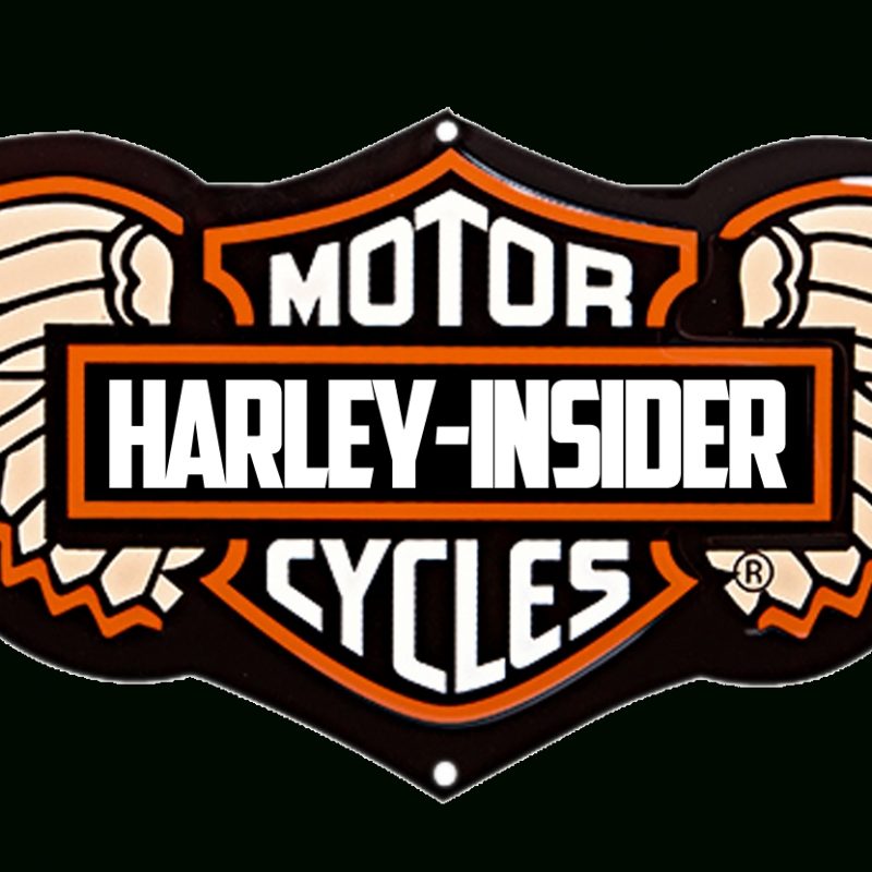 10 Best Hd Harley Davidson Logo FULL HD 1080p For PC Background 2024 free download harley davidson motorcycles logo hd cool 7 hd wallpapers retro 800x800