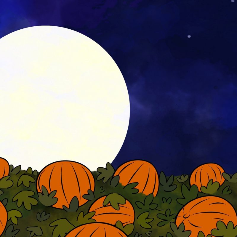 10 Latest The Great Pumpkin Wallpaper FULL HD 1920×1080 For PC Background 2024 free download its the great pumpkin charlie brown full hd wallpaper and 800x800