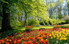 photo collection free spring desktop wallpaper background