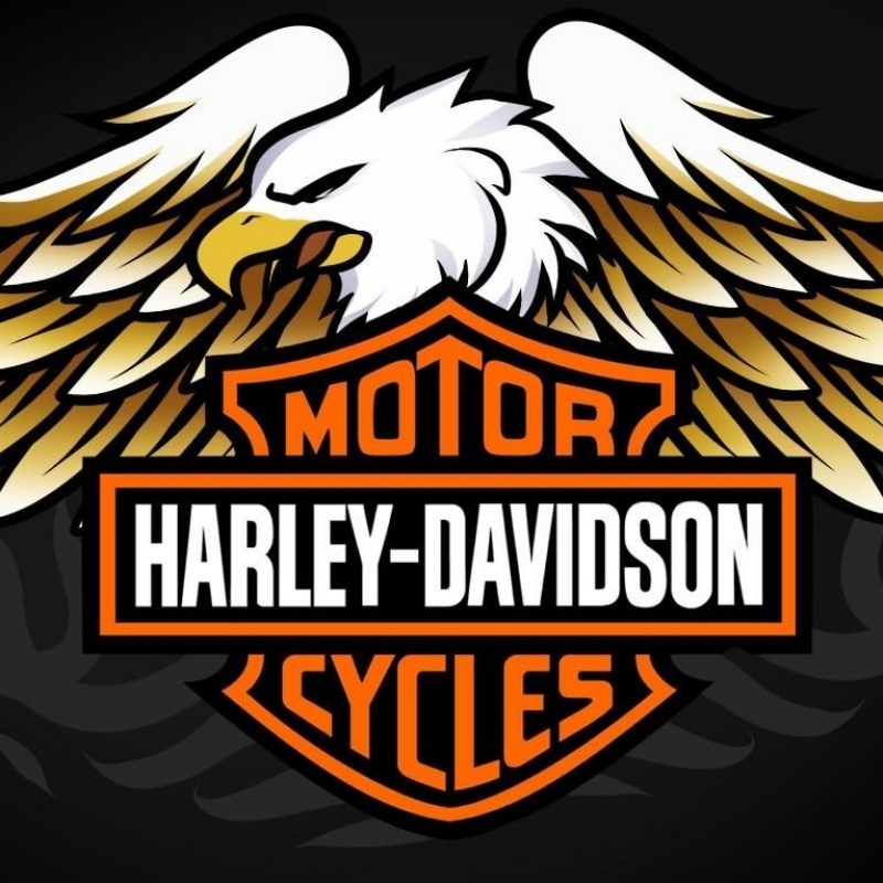 10 Best Images Of Harley Davidson Logo FULL HD 1920×1080 For PC Background 2024 free download pictures of harley davidson logos harley davidson eagle logoshow 800x800