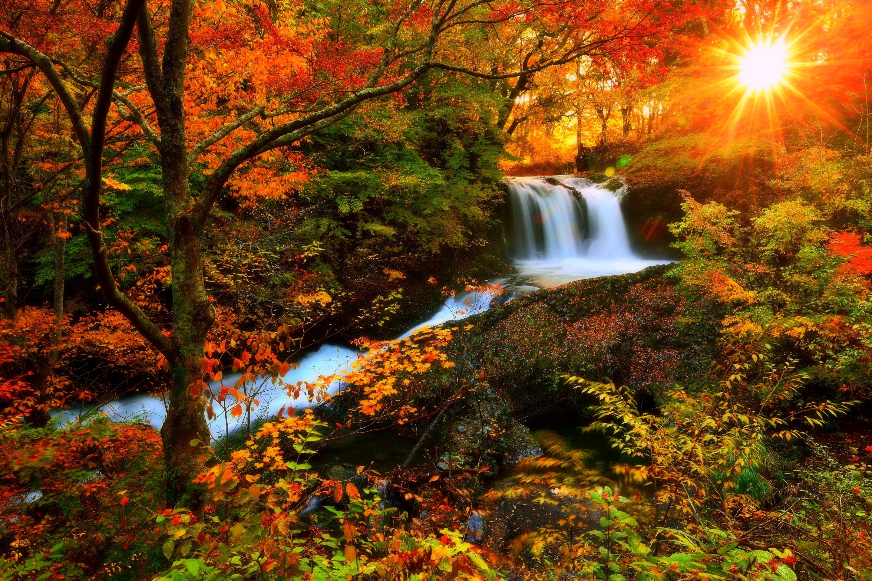 1920X1080 Most Beautiful Fall Scenery