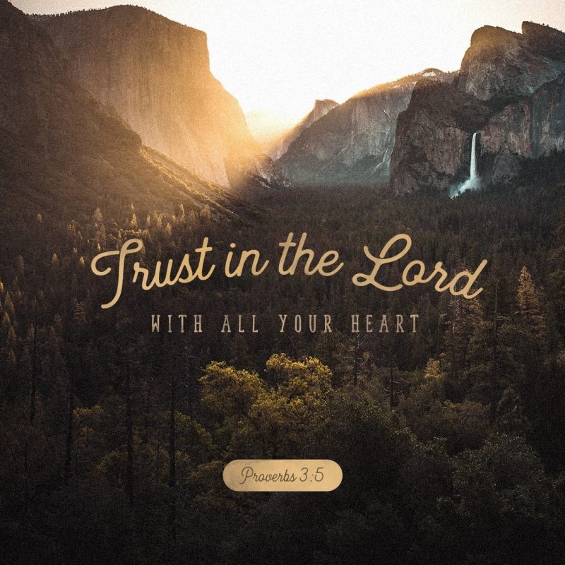 10 Latest Proverbs 3 5 6 Wallpaper FULL HD 1920×1080 For PC Desktop 2024 free download proverbs 35 6 niv trust in the lord with all your heart and lean 800x800