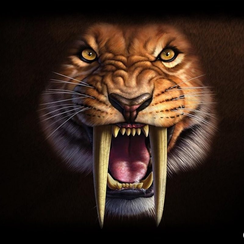 10 Best Saber Tooth Tiger Wallpapers FULL HD 1920×1080 For PC Background 2024 free download saber tooth wallpaper apk download free personalization app for 800x800