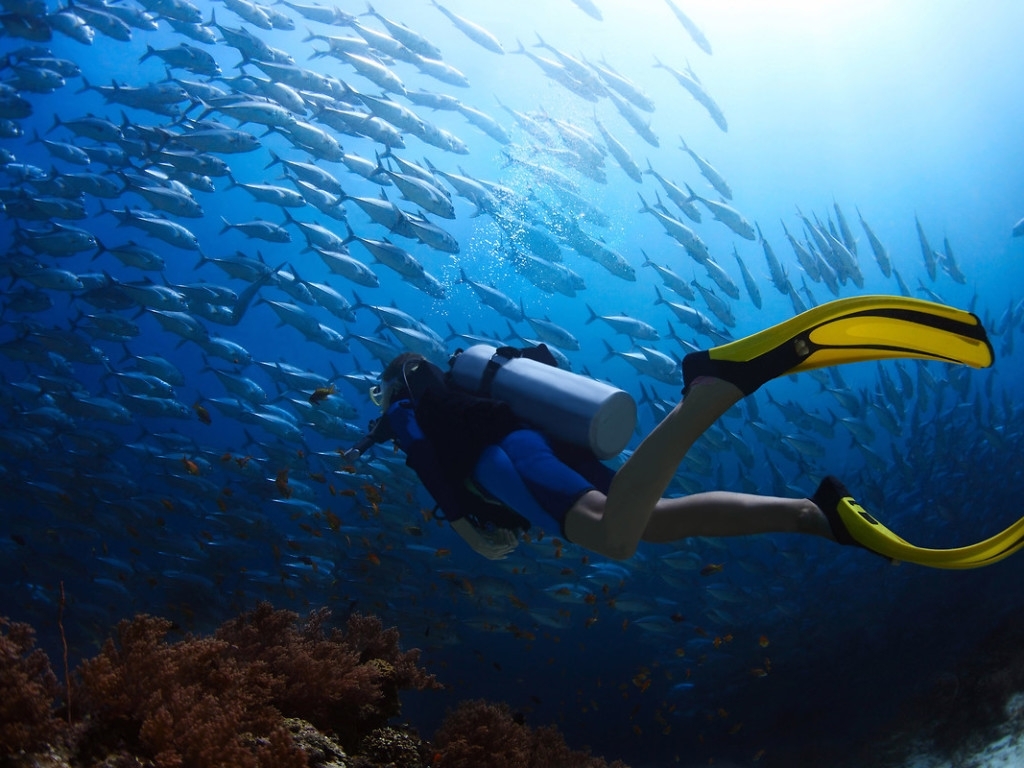 10 Best Scuba Diving Wallpaper High Resolution FULL HD 1080p For PC ...