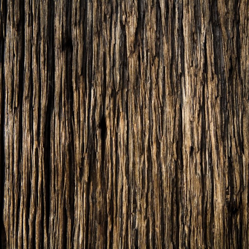 10 Latest Wood Grain Phone Wallpaper FULL HD 1080p For PC Background 2024 free download techcredo wood texture wallpaper collection for android 800x800