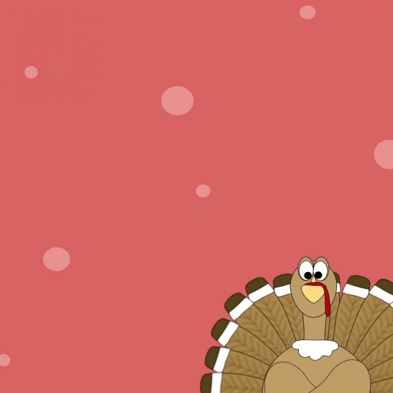 10 Latest Thanksgiving Turkey Wallpaper Hd FULL HD 1920×1080 For PC Desktop 2024 free download turkey wallpapers free group 69 800x800