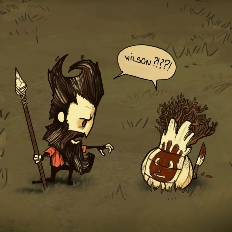 10 Best Don T Starve Wallpaper FULL HD 1920×1080 For PC Background 2024 free download wallpaper 30 wallpaper from dont starve gamepressure 2 800x800