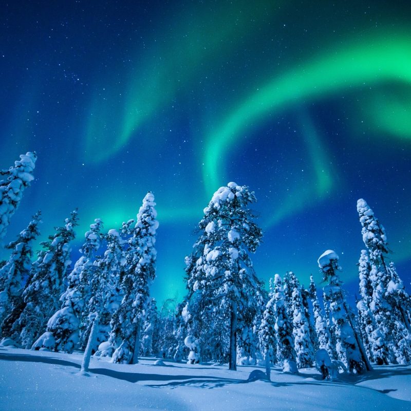 10 Latest Winter Northern Lights Wallpaper FULL HD 1080p For PC Desktop 2024 free download wallpaper forest winter frosted trees aurora borealis northern 800x800