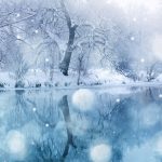 winter snowfall ❤ 4k hd desktop wallpaper for 4k ultra hd tv • dual