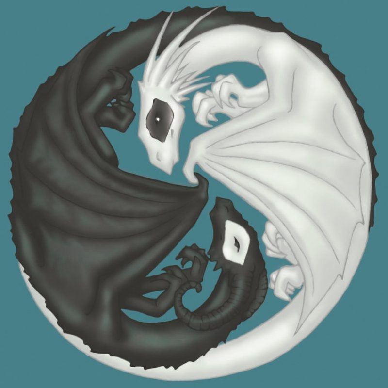 10 Top Yin And Yang Dragons FULL HD 1920×1080 For PC Background 2024 free download yin yang dragons for angelicdemise on dcrisicat on deviantart 800x800